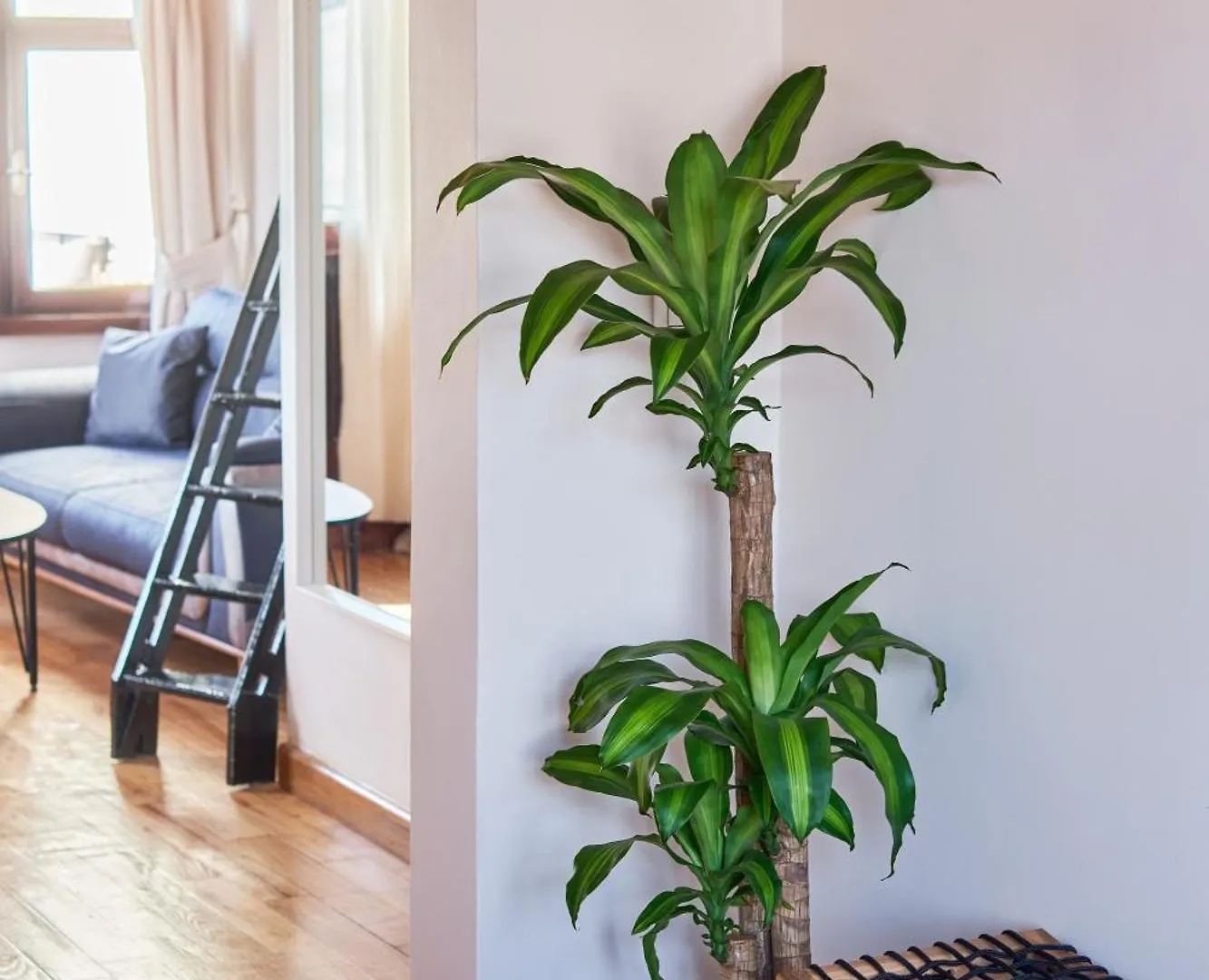 Appartement Nuve à Istambul